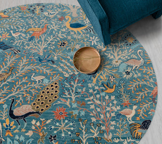 Birds & Garden