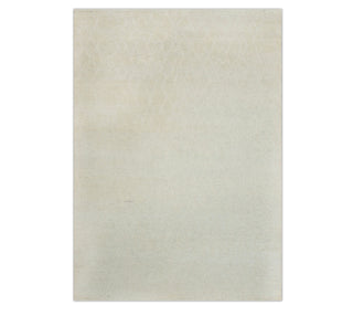 Riley G-13152, 8x10 Ft.